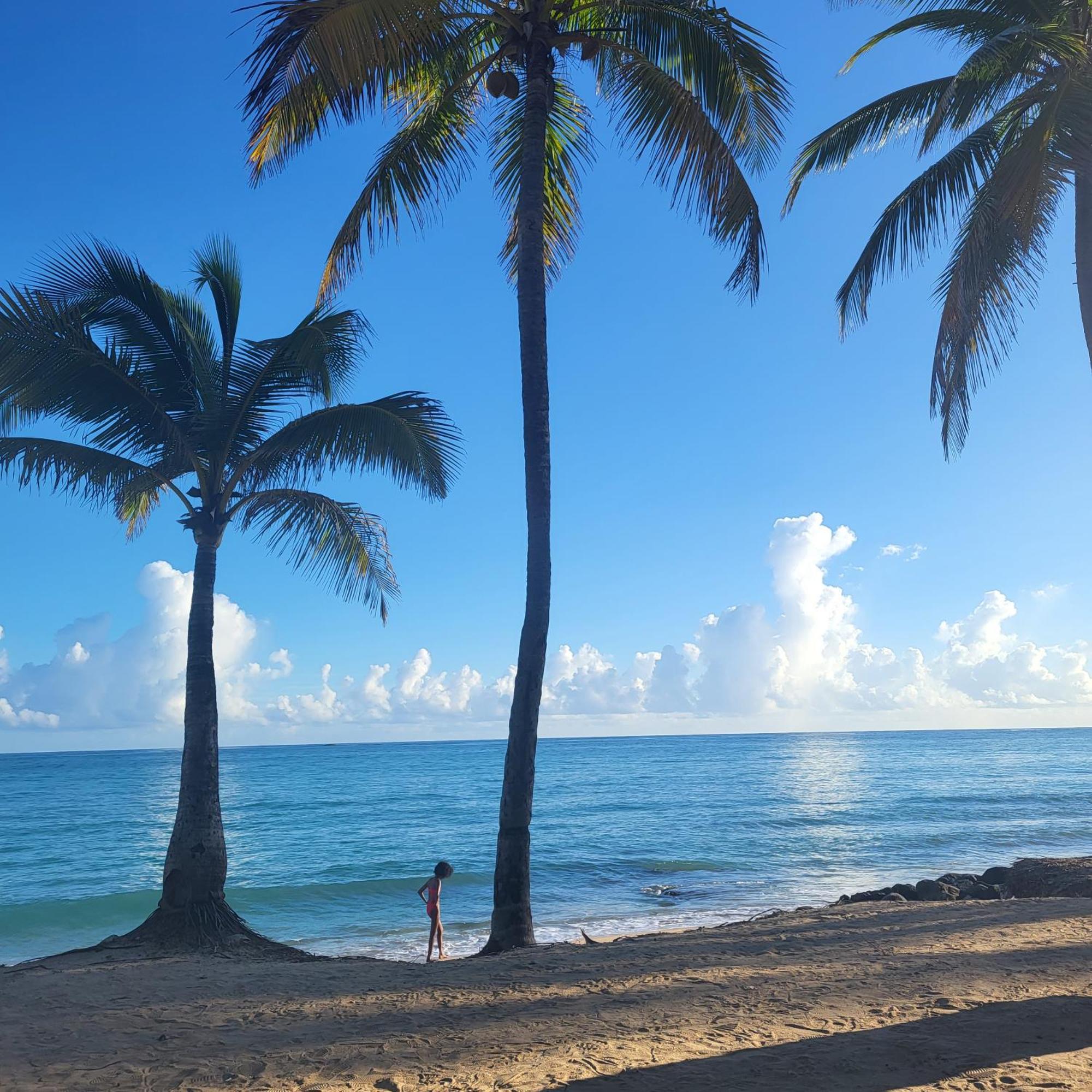 Cozybeach Large 1Bdrapt 50 Steps From Atlantic Ocean Private Street Between Ocean Park & Isla Verde 5 Mins From Airport San Juan Kültér fotó